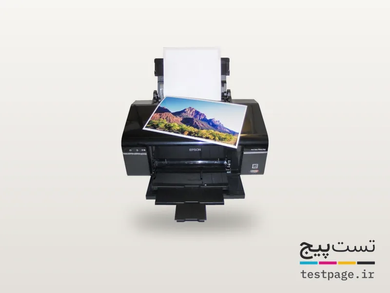 Epson Stylus Photo P50