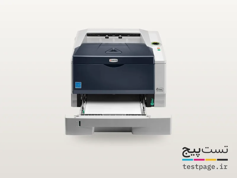 Kyocera FS-1100